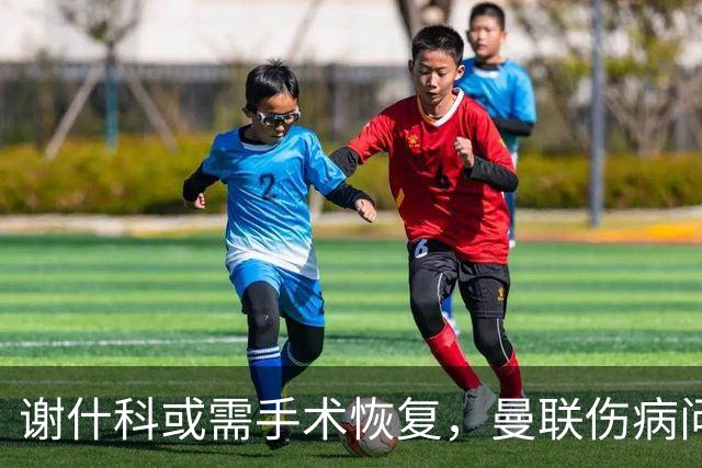 谢什科或需手术恢复，曼联伤病问题严重